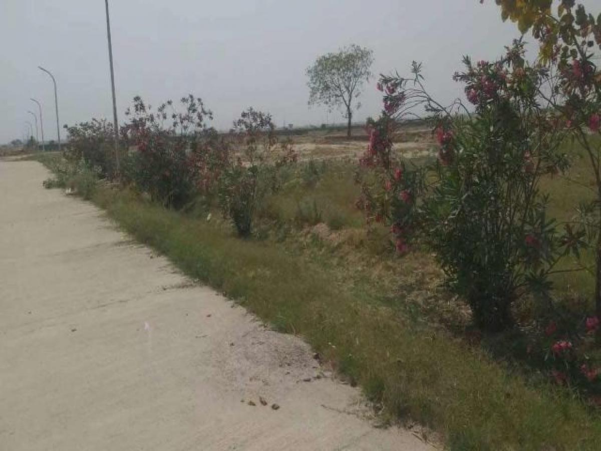  Land in Noida, India No. 65726