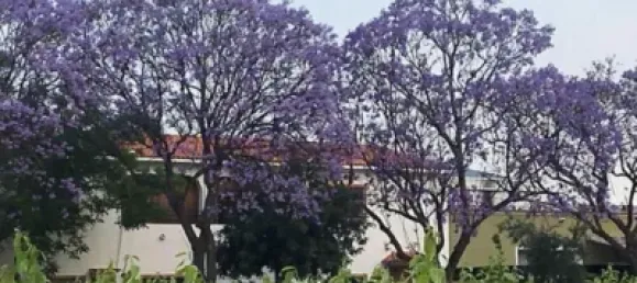 4 chambres Maison à Carcaixent, Spain No. 116007 23