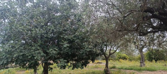 Villa de 3 dormitorios en Noto, Italy No. 300492 15