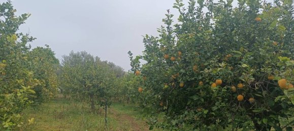 Villa de 3 dormitorios en Noto, Italy No. 300492 9