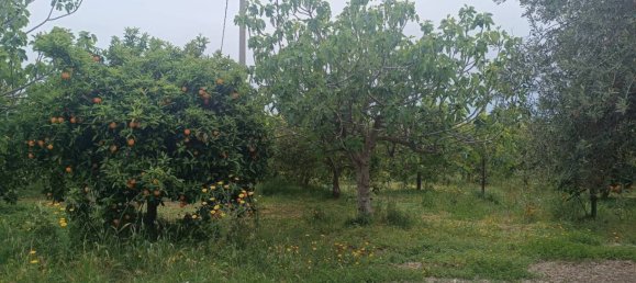 Villa de 3 dormitorios en Noto, Italy No. 300492 16