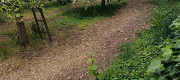 Villa de 3 dormitorios en Noto, Italy No. 300492 12