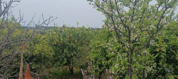 Villa de 3 dormitorios en Noto, Italy No. 300492 11