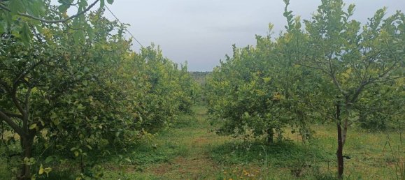 Villa de 3 dormitorios en Noto, Italy No. 300492 13