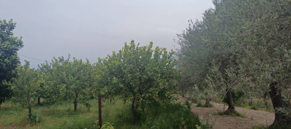 Villa de 3 dormitorios en Noto, Italy No. 300492 10