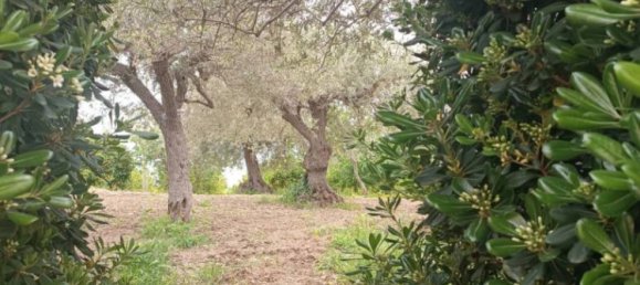 Villa de 3 dormitorios en Noto, Italy No. 300492 14