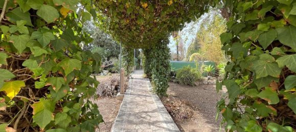 Casa de 3 dormitorios en San Vicente del Raspeig, Spain No. 188833 32