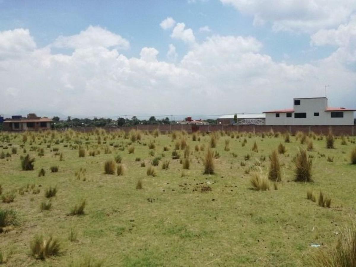  Land in Mexico No. 206922