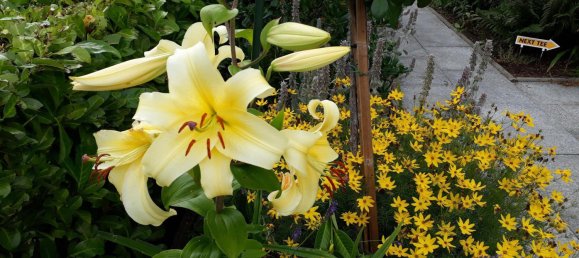 5-Zimmer Villa in Wandsbek, Germany, Nr. 253099 33