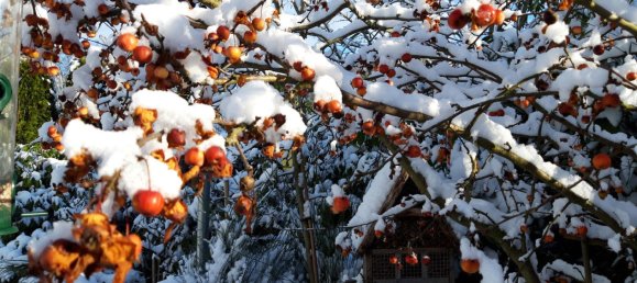 5-Zimmer Villa in Wandsbek, Germany, Nr. 253099 38