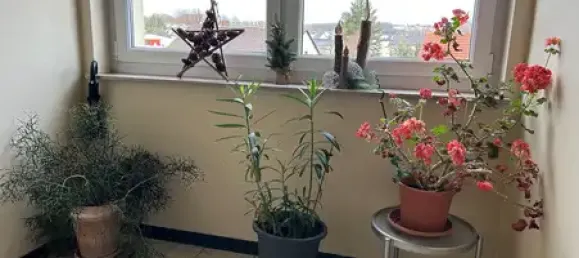 Квартира с 4 комнатами в Эрланген-Хёхштадт, Германия № 195592 13