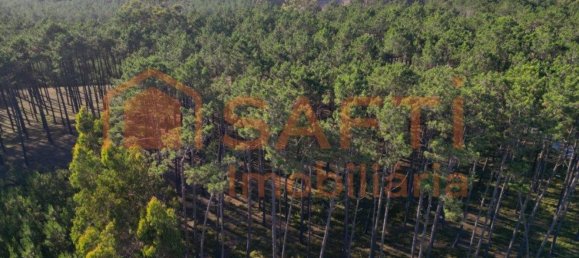 4 bedrooms House in Alcobaca, Portugal No. 151110 6