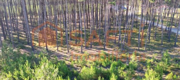 4 bedrooms House in Alcobaca, Portugal No. 151110 12