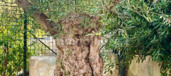 7 bedrooms Villa in Noicattaro, Italy No. 353274 43