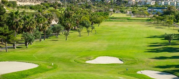 3 bedrooms Villa in Ciudad Quesada, Spain No. 4179 14