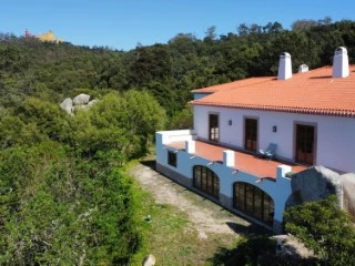 8 غرف نوم فيلا في Sintra, Portugal رقم 50327