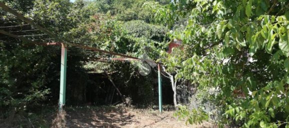 Studio in Olevano Romano, Italy No. 76771 8