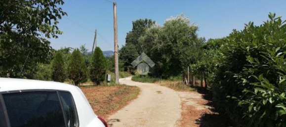 Studio in Olevano Romano, Italy No. 76771 4