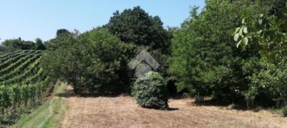 Studio in Olevano Romano, Italy No. 76771 6