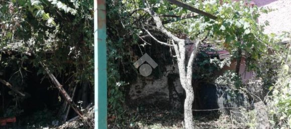 Studio in Olevano Romano, Italy No. 76771 3