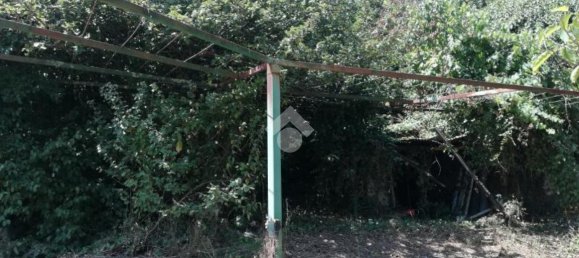 Studio in Olevano Romano, Italy No. 76771 2