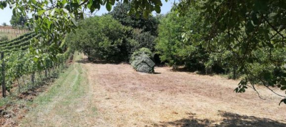 Studio in Olevano Romano, Italy No. 76771 9