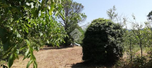 Studio in Olevano Romano, Italy No. 76771 5