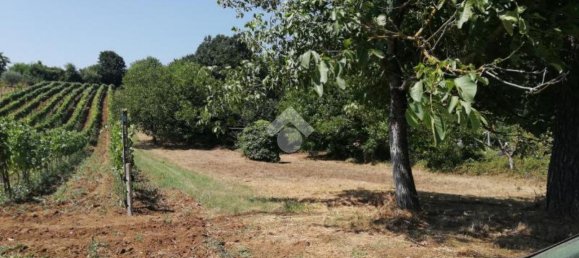 Studio in Olevano Romano, Italy No. 76771 7