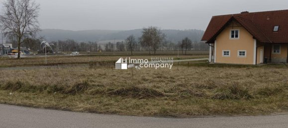  Land in Bad Waltersdorf, Austria No. 172699 3