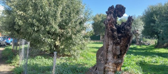 Terreno en Collado Villalba, Spain No. 184799 9