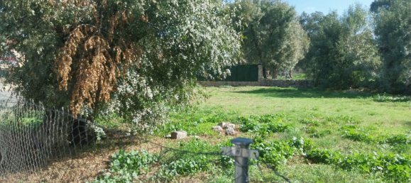 Terreno en Collado Villalba, Spain No. 184799 12