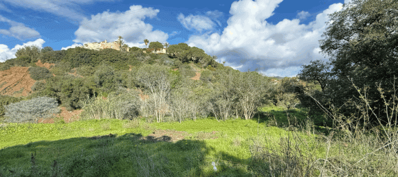  Land in Marbella, Spain No. 128593 5