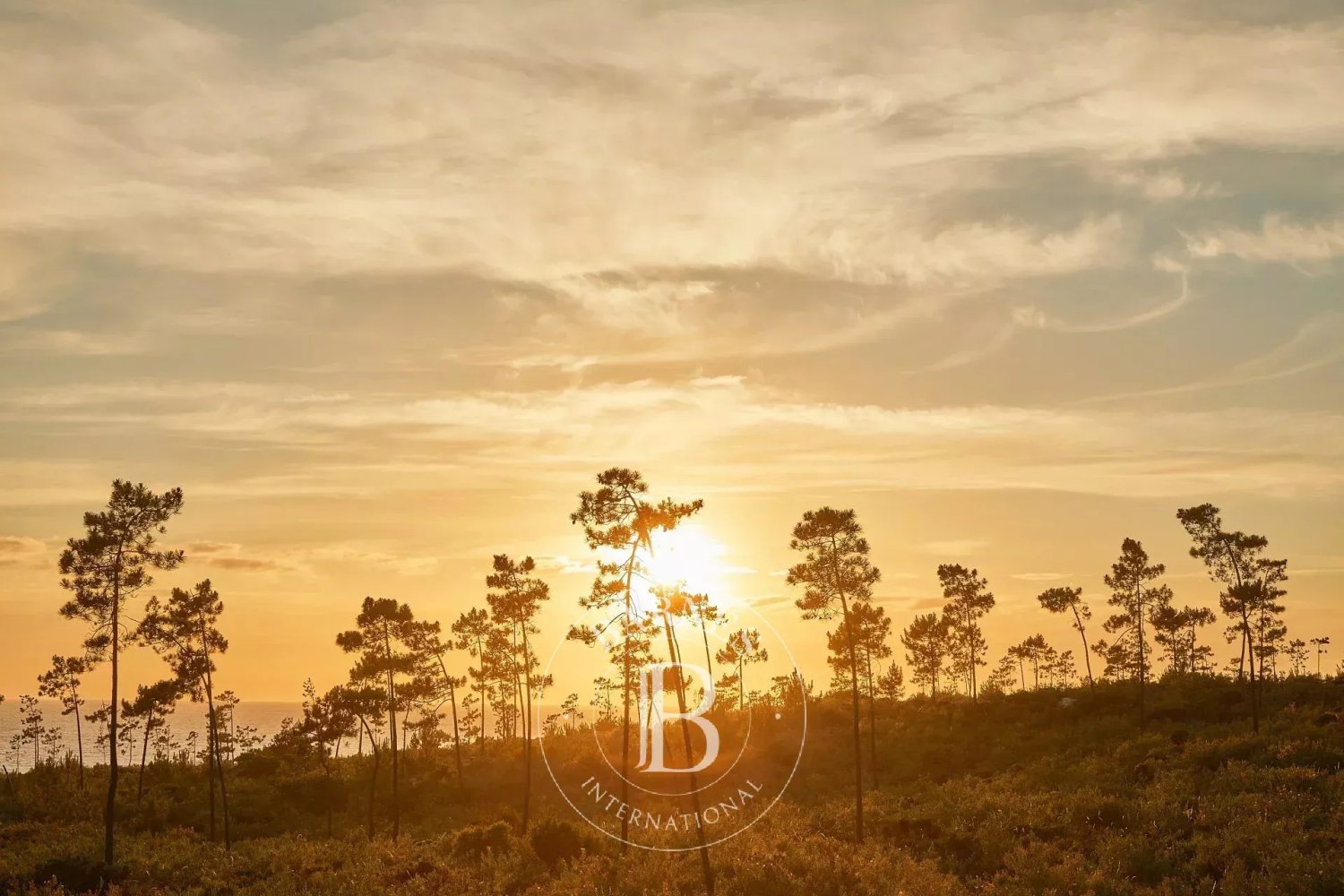 Casa de 10 dormitorios en Grandola, Portugal No. 141360