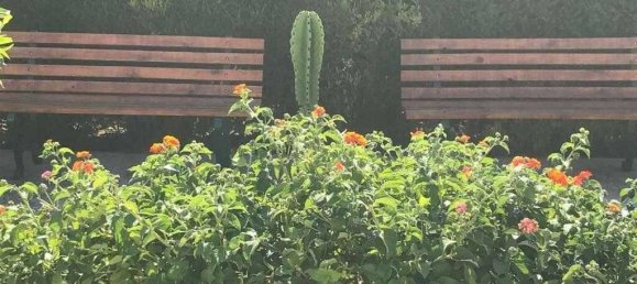 9 bedrooms House in Vila do Bispo, Portugal No. 186719 17