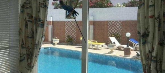 9 bedrooms House in Vila do Bispo, Portugal No. 186719 16