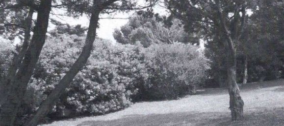 15 bedrooms Villa in Olbia, Italy No. 340731 26