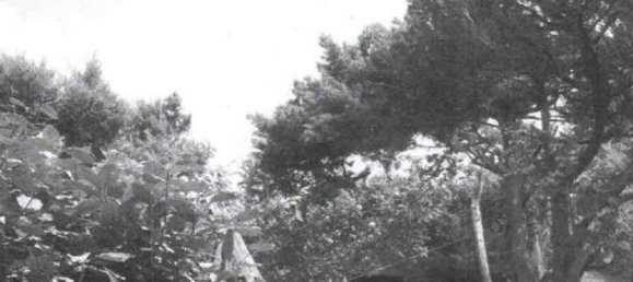 15 bedrooms Villa in Olbia, Italy No. 340731 30