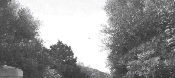 15 bedrooms Villa in Olbia, Italy No. 340731 17