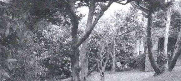 15 bedrooms Villa in Olbia, Italy No. 340731 31