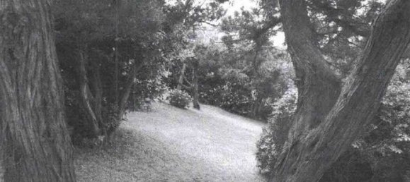 15 bedrooms Villa in Olbia, Italy No. 340731 28