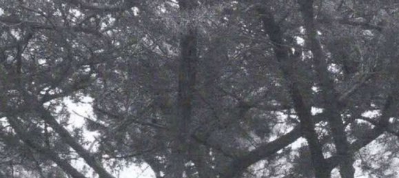 15 bedrooms Villa in Olbia, Italy No. 340731 29