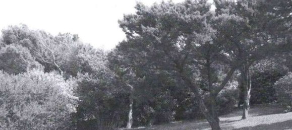 15 bedrooms Villa in Olbia, Italy No. 340731 27