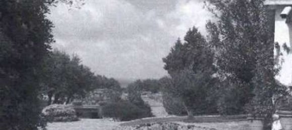 15 bedrooms Villa in Olbia, Italy No. 340731 6