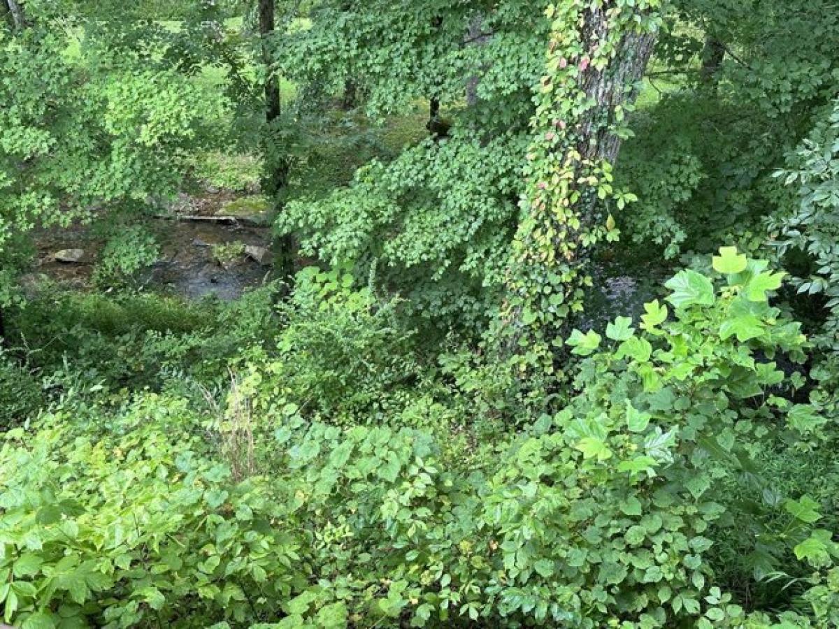 5 bedrooms House in Lawrenceburg, USA No. 383778