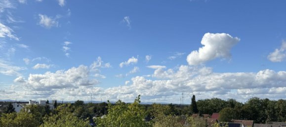 1 غرف نوم شقة في Rhein-Neckar-Kreis, Germany رقم 105714 3