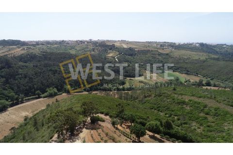 Terrain à Ericeira, Portugal 37437m² No. 305034