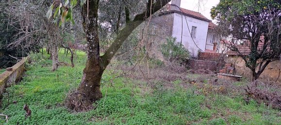 3 bedrooms House in Canas de Santa Maria, Portugal No. 23197 20