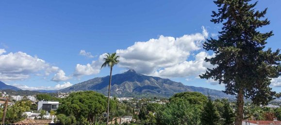 1607m² Land in Marbella, Spain No. 28096 19