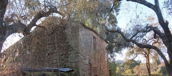 Casa T9 em Fundão, Portugal N.º 87952 22