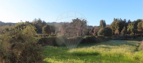 Casa T9 em Fundão, Portugal N.º 87952 20